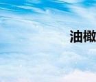 油橄榄精华（油橄榄）