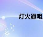 灯火通明,夜色璀璨（灯火通明）