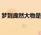 梦到庞然大物是什么意思（大物是什么意思）