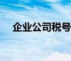 企业公司税号查询（税号查询公司名称）