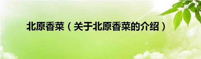 北原香菜（关于北原香菜的介绍）