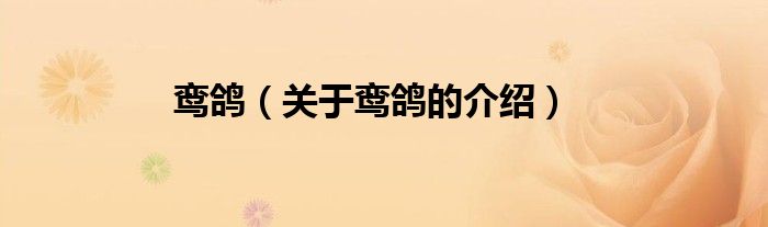 鸾鸽（关于鸾鸽的介绍）
