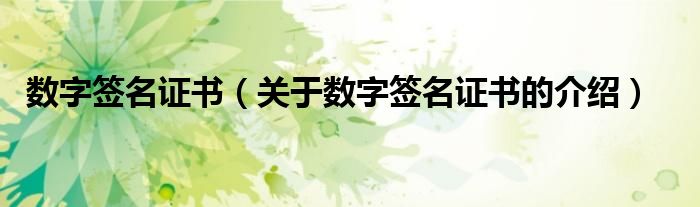 数字签名证书（关于数字签名证书的介绍）