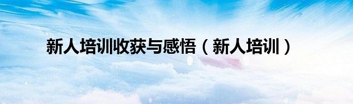 新人培训收获与感悟（新人培训）