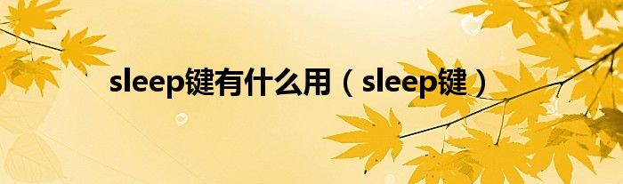 sleep键有什么用（sleep键）
