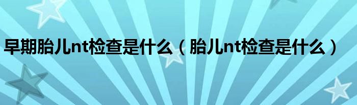 早期胎儿nt检查是什么（胎儿nt检查是什么）