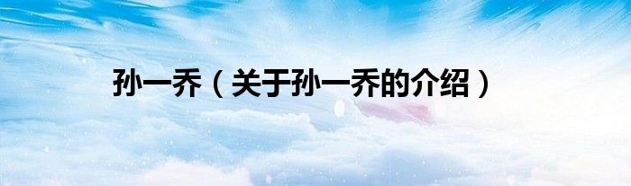 孙一乔（关于孙一乔的介绍）