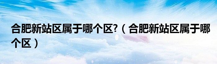 合肥新站区属于哪个区?（合肥新站区属于哪个区）