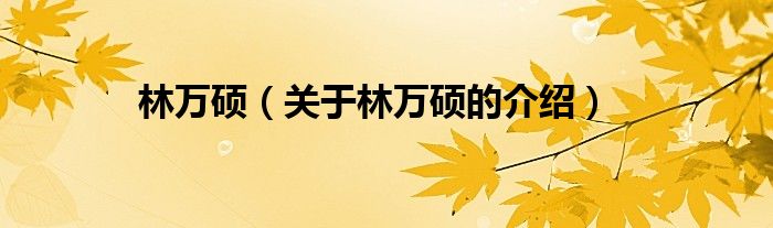 林万硕（关于林万硕的介绍）