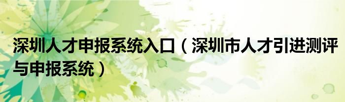深圳人才申报系统入口（深圳市人才引进测评与申报系统）