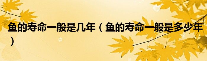 鱼的寿命一般是几年（鱼的寿命一般是多少年）