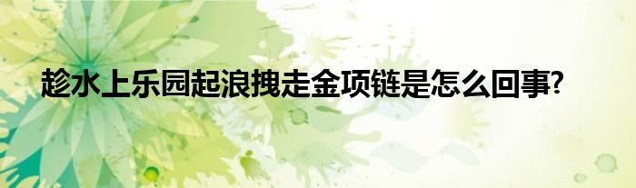 趁水上乐园起浪拽走金项链是怎么回事?