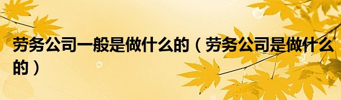 劳务公司一般是做什么的（劳务公司是做什么的）
