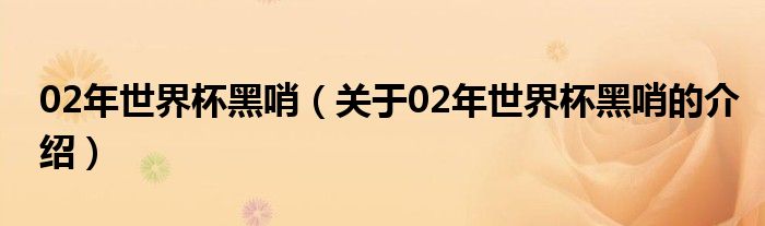 02年世界杯黑哨（关于02年世界杯黑哨的介绍）