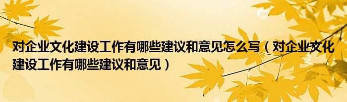 对企业文化建设工作有哪些建议和意见怎么写（对企业文化建设工作有哪些建议和意见）