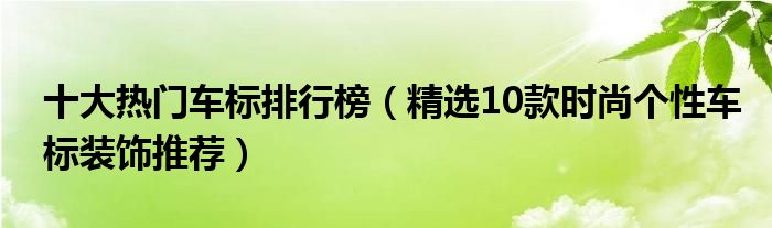 十大热门车标排行榜（精选10款时尚个性车标装饰推荐）