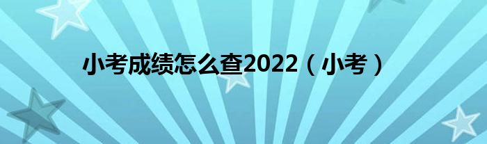 小考成绩怎么查2022（小考）