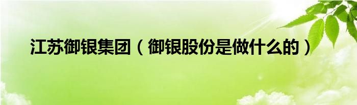 江苏御银集团（御银股份是做什么的）