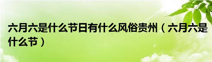 六月六是什么节日有什么风俗贵州（六月六是什么节）