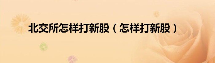 北交所怎样打新股（怎样打新股）
