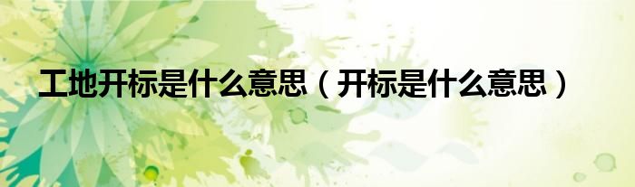工地开标是什么意思（开标是什么意思）