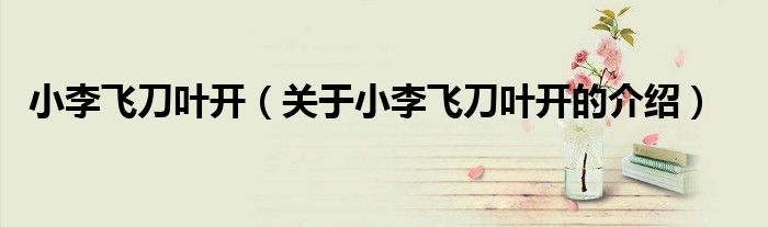 小李飞刀叶开（关于小李飞刀叶开的介绍）