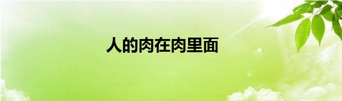 人的肉在肉里面