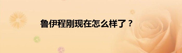 鲁伊程刚现在怎么样了？