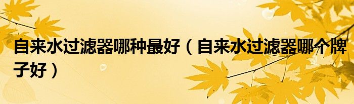 自来水过滤器哪种最好（自来水过滤器哪个牌子好）