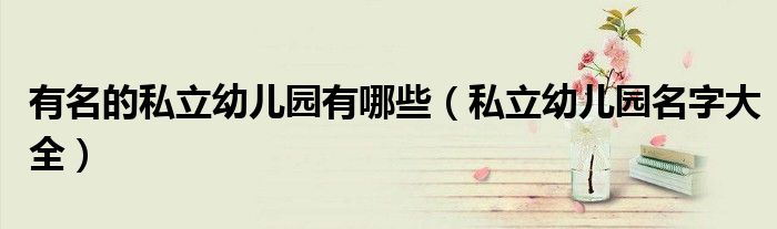 有名的私立幼儿园有哪些（私立幼儿园名字大全）