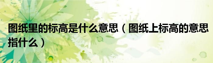 图纸里的标高是什么意思（图纸上标高的意思指什么）