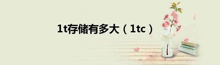 1t存储有多大（1tc）