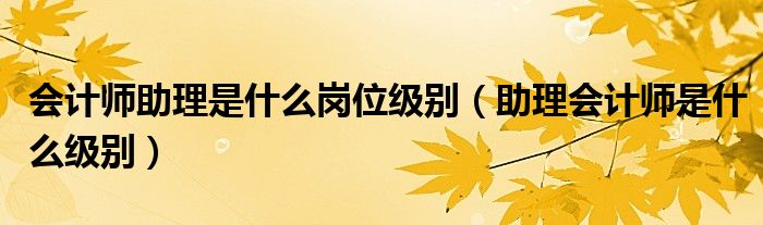 会计师助理是什么岗位级别（助理会计师是什么级别）