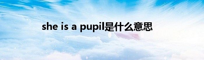she is a pupil是什么意思