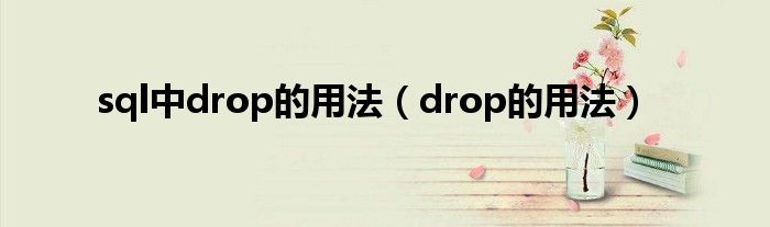 sql中drop的用法（drop的用法）