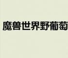 魔兽世界野葡萄藤药水（魔兽世界野葡萄藤）