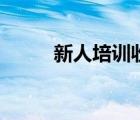 新人培训收获与感悟（新人培训）