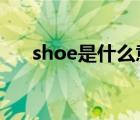 shoe是什么意思（shoes是什么意思）
