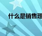 什么是销售理念ppt（什么是销售理念）