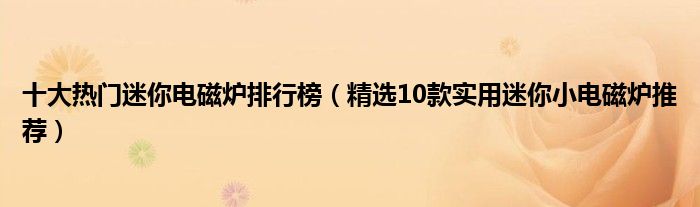 十大热门迷你电磁炉排行榜（精选10款实用迷你小电磁炉推荐）