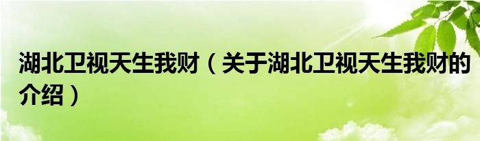 湖北卫视天生我财（关于湖北卫视天生我财的介绍）