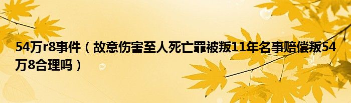 54万r8事件（故意伤害至人死亡罪被叛11年名事赔偿叛54万8合理吗）