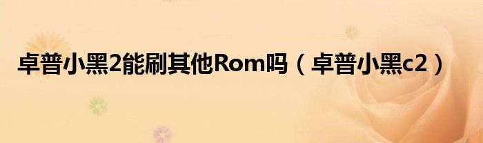 卓普小黑2能刷其他Rom吗（卓普小黑c2）