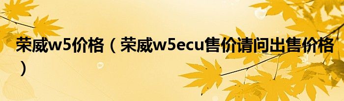 荣威w5价格（荣威w5ecu售价请问出售价格）