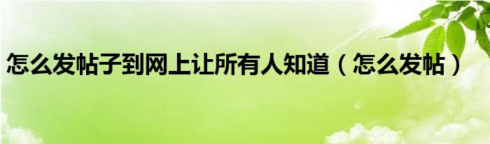 怎么发帖子到网上让所有人知道（怎么发帖）