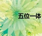 五位一体 是（什么是五位一体）