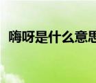 嗨呀是什么意思 四川话（嗨呀是什么意思）