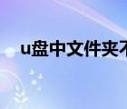 u盘中文件夹不显示（u盘文件夹不显示）