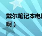 戴尔笔记本电脑怎么样?（戴尔笔记本怎么样啊）