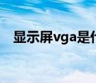 显示屏vga是什么意思（vga是什么意思）